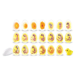 Learning Resources Chick Life Cycle Exploration Set