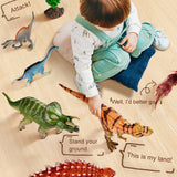 Mideer Dino Action Figure - Stegosaurus