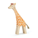 Ostheimer Giraffe running