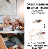 Hauck Play Music Toy - Zebra