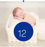 Beinoen Disposable Swim Pant Diapers XL - Pack of 34