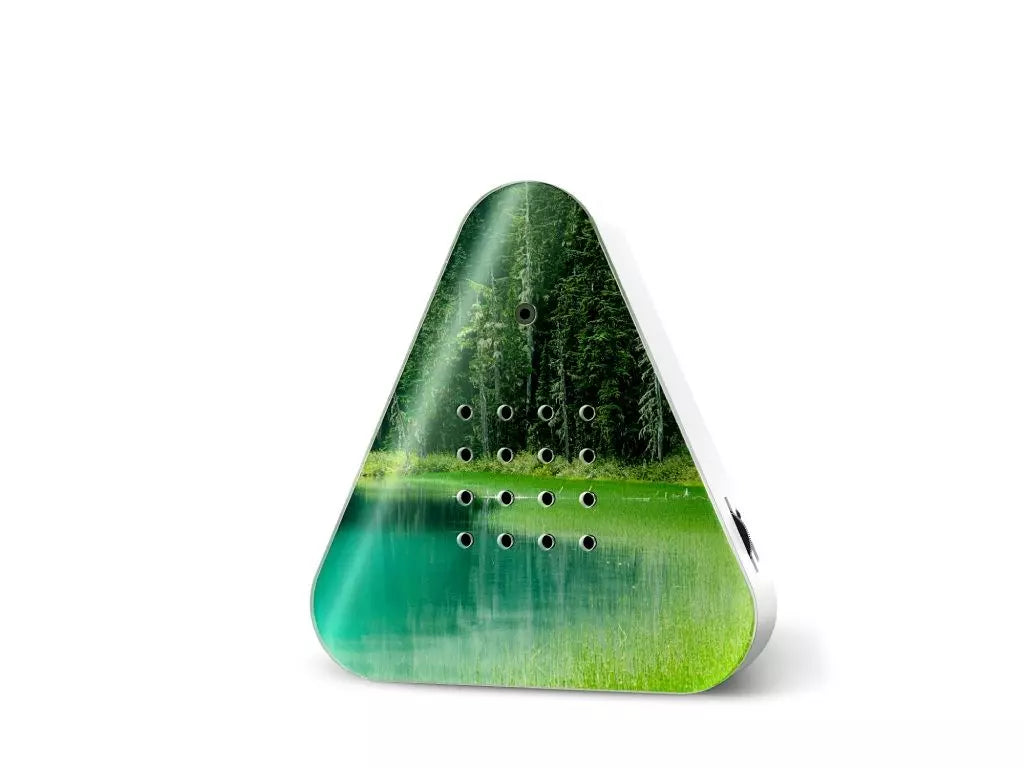 lakeside-relaxound-box-forest-lake-1