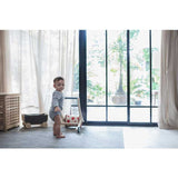 PlanToys Roll N Walk
