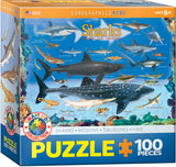EuroGraphics Sharks - 100Pcs