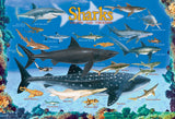 EuroGraphics Sharks - 100Pcs