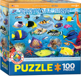 EuroGraphics Tropical Fish - 100Pcs