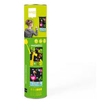 Scratch Europe Magnetic Darts Small Zoo