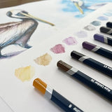 Derwent Color Water Col Pencil Tin of 36