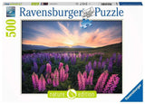 Ravensburger Lupines