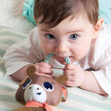 Tiny Love Smart Rattle Alex Polar Wonders Stoller Toy - Laadlee