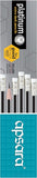 Apsara Platinum 2B Extra Dark Pencil - 12Pcs Pack With Sharpener Inside