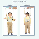 Polka Tots Baby Walking Assistant Harness Toddler Leash - Green - Laadlee