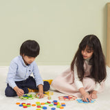 Viga Peacock Color Matching Game