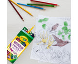 Crayola Watercolor Pencils - Pack of 24 - Laadlee