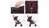 Hauck Fold N Care Lightweight umbrella pushchair - Blackberry