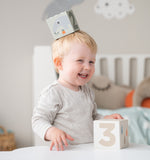 Done By Deer Stacking Cubes 5 Pcs Deer Friends Colour Mix