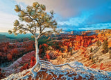 eurographics-winter-sunrise-puzzle-1000pcs - 2