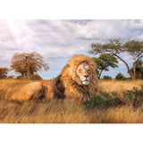 clementoni-puzzle-high-quality-collection-the-king-1000pcs-2
