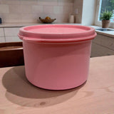 Astro Ruby Big Snack Box 550ml - Pink