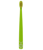 Flipper Oral Hygienic Set Fun Animal Kids Toothbrush With Holder - Turtle