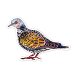 Avenir Scratch Stickers - Bird