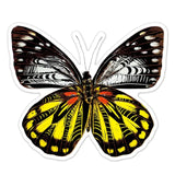 Avenir Scratch Stickers - Butterfly