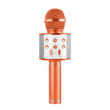 Power Joy Battery Operated Karaoke Microphone - Assorted 1pc