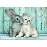 clementoni-puzzle-high-quality-collection-cat-bunny-and-poster-500pcs-3
