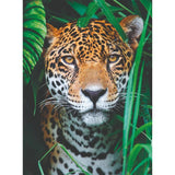 clementoni-puzzle-high-quality-collection-jaguar-in-jungle-500pcs-3