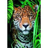 clementoni-puzzle-high-quality-collection-jaguar-and-poster-500pcs-3
