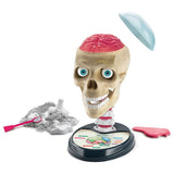 clementoni-science-play-crazy-anatomy-2