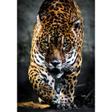 clementoni-puzzle-high-quality-collection-walk-of-the-jaguar-and-poster-1000pcs-3