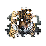 clementoni-puzzle-high-quality-collection-walk-of-the-jaguar-and-poster-1000pcs-2
