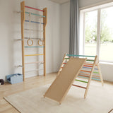 Ezzro Multicolor Modern Scandinavian Ladder Gym - Laadlee
