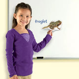 Learning Resources Giant Magnetic Frog Life Cycle