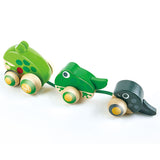 Hape Pull Along Frog Family With Anti-Rollover Wheels