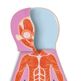 Hape Human Body Magnetic Puzzle - 68Pcs