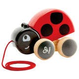 Hape Ladybug Pull-Along Toy - Multicolour