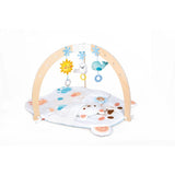 Hape- Snuggle Bear Foldable Activity Gym