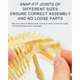 Mideer Build Your Own Collectible - Mammoth