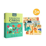 Mideer Cognitive Cards 1