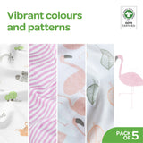 Moon Baby Body Suit Set of 5 - Girls (6M-9M)