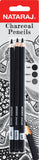 Nataraj Professional Charcoal Pencil Set Hex Soft,Medium & Hard