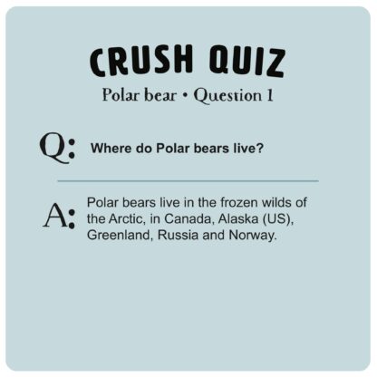 The Crush Series The Crush Series Quiz Cards (76 Cards) - Laadlee