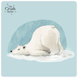 The Crush Series The Crush Series Quiz Cards (76 Cards) - Laadlee