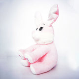 pugs-at-play-battery-operated-peek-a-boo-bugs-10inch-4