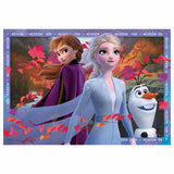 Ravensburger DFZ2: Frosty Adventures 2x24 pc