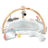 Skip Hop Discoverosity Play Gym