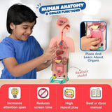 Smartivity Human Body DIY STEM Kit