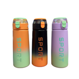 Stem Sports Water Bottle - 550ml (Color May Vary)